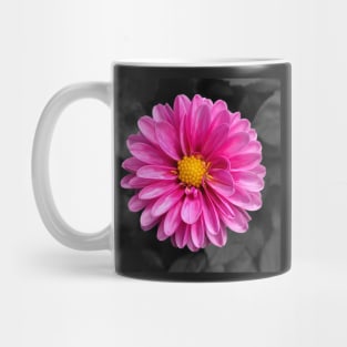 Bright pink flower with black background Mug